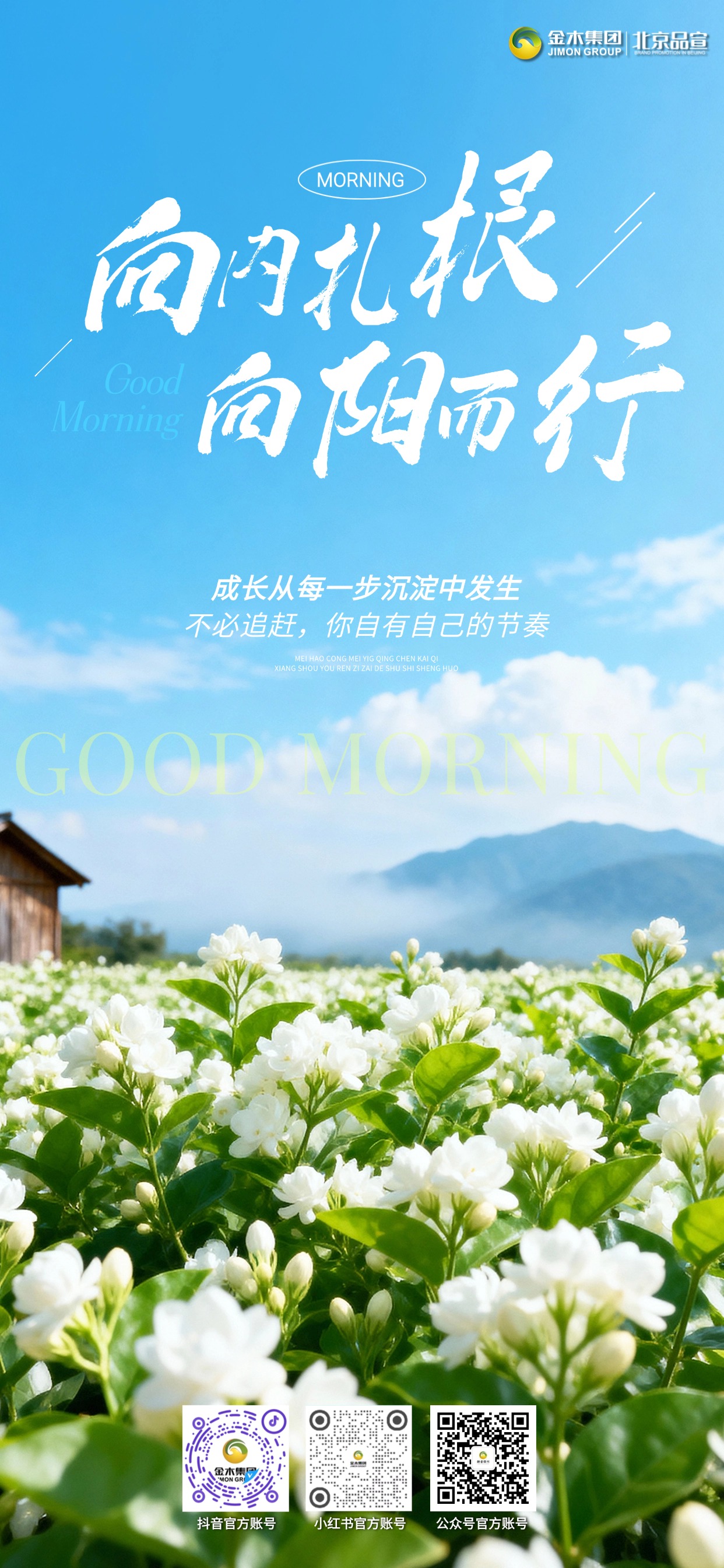 🥛清晨一杯温水唤醒活力，注重养生、关爱健康，不辜负晨光，不怠慢身体，带着热忱与健康，开启元气满满的新一天。